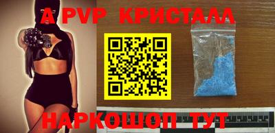 СК Тверь