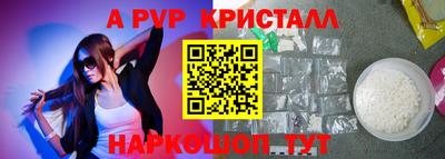 СК Тверь