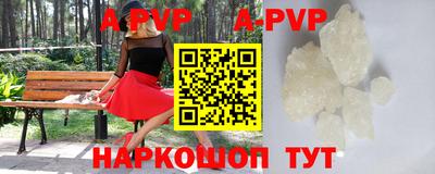 СК Тверь