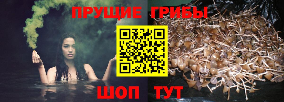 купить наркотик  Галлюциногенные грибы мицелий  Вход с VPN  Нефтеюганск 